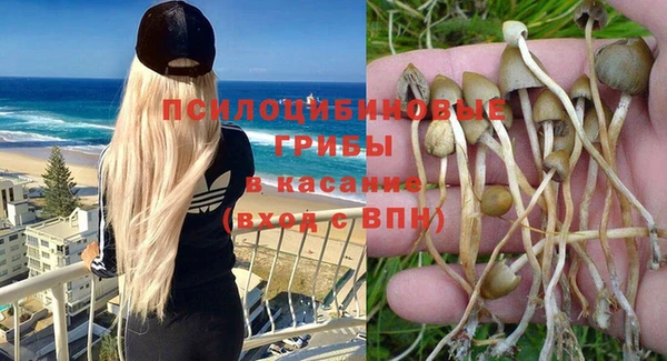 гидропоника Баксан