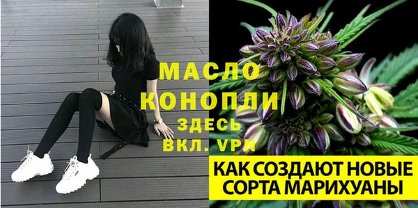 спиды Аркадак