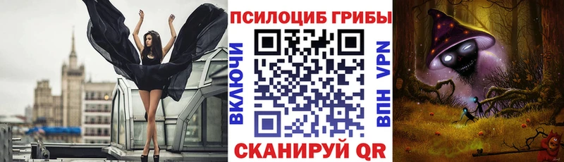 Псилоцибиновые грибы Psilocybine cubensis  Вилючинск 